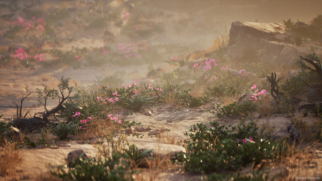 robert-redecki-robert-redecki-desert-closeup-03