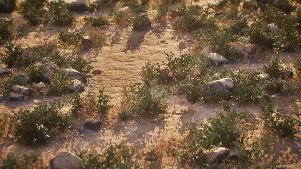 robert-redecki-robert-redecki-desert-closeup-05a