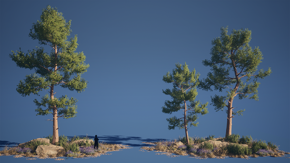 Mediterranean_Coast_Foliage_02