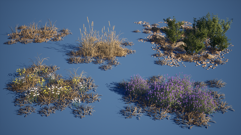 Mediterranean_Coast_Foliage_03