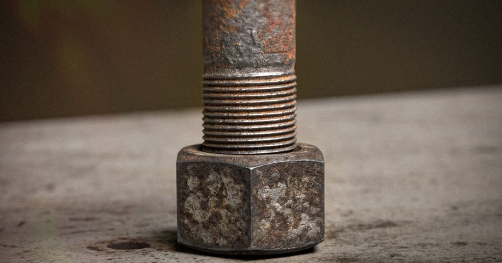 lyubov-vasileva-bolt-1