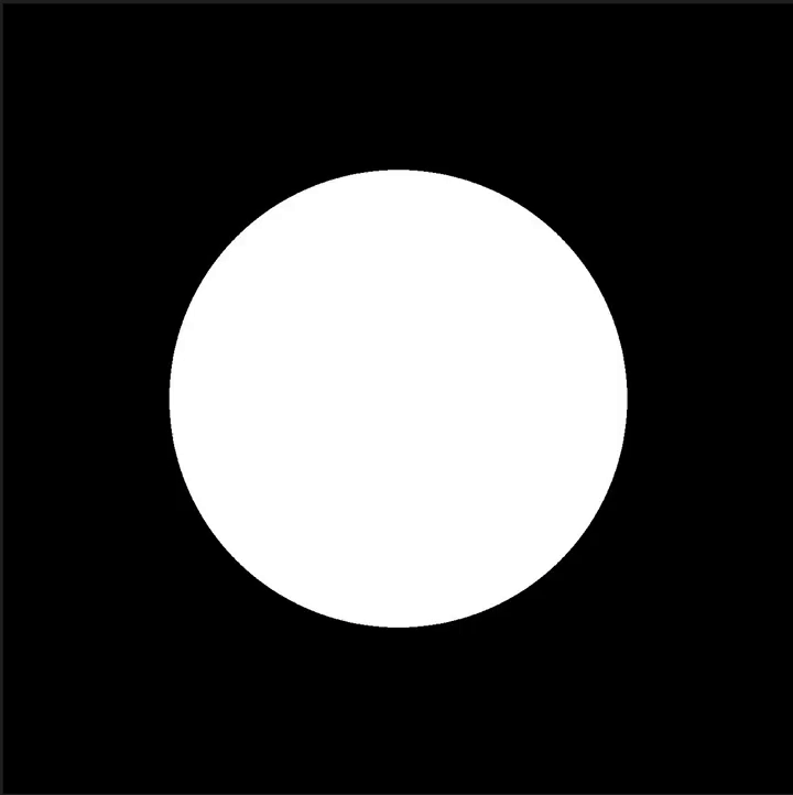 11.1.-Decals-Lichen-Creation-Process