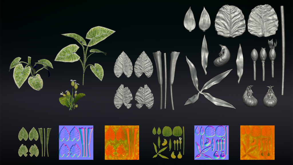 9.-Foliage-Alocassia-and-Yellow-Slipper