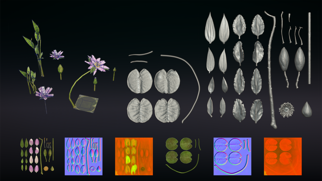 9.-Foliage-WaterLily