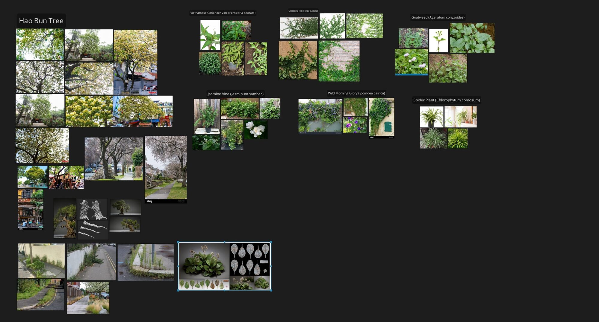 31-foliage-references-scaled