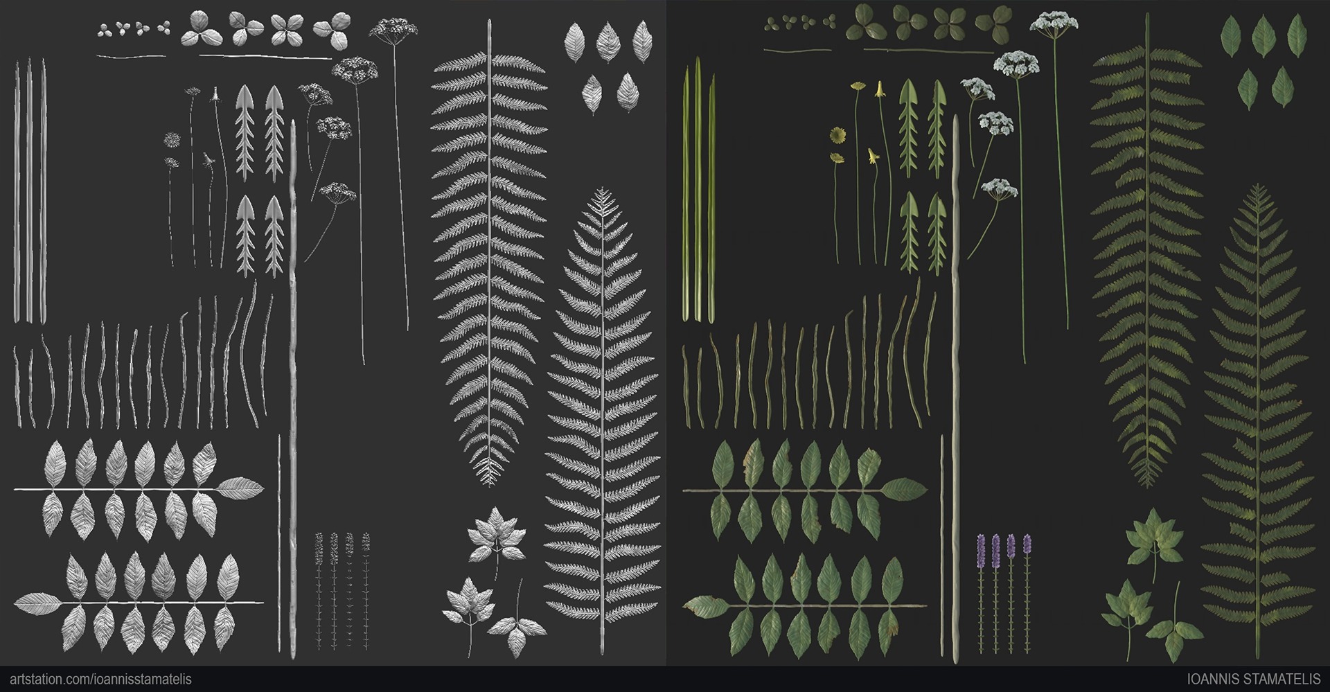 Photo_Vegetation_04_IoannisStamatelis