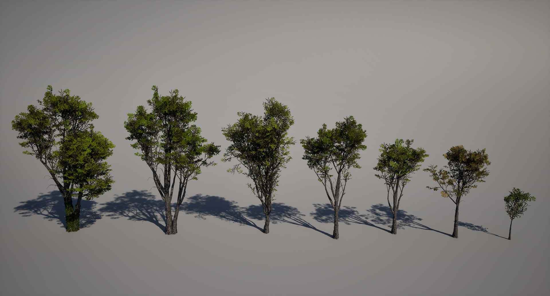 Render_Trees