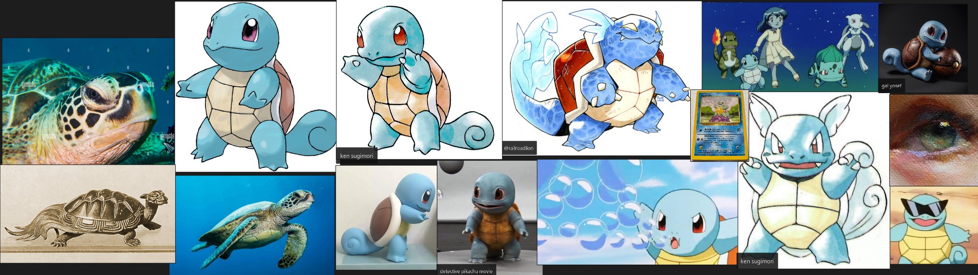 Squirtle_Pureref