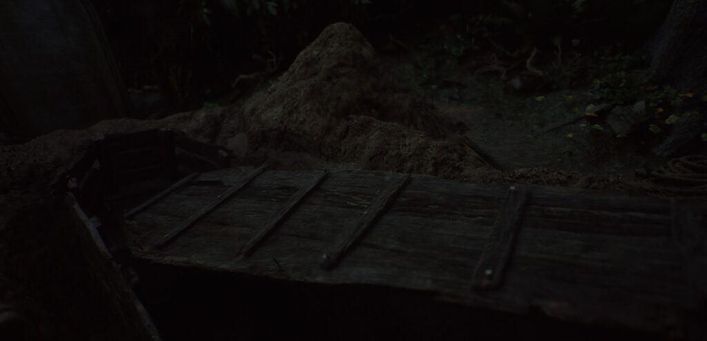 012-Closeups-03-scaled