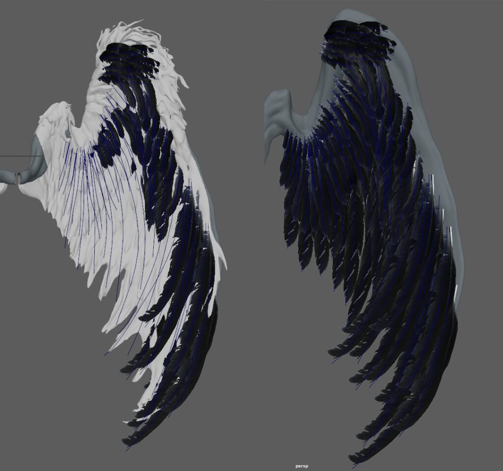 wing